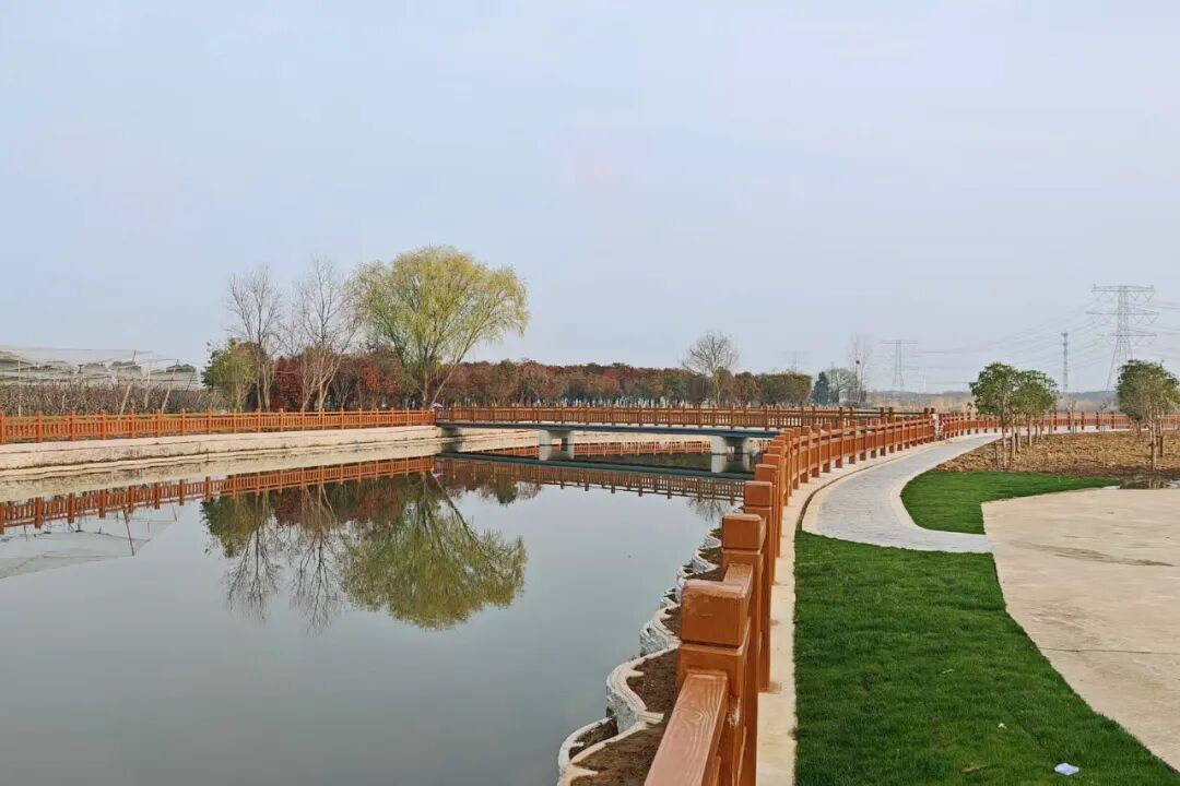 046.jpg 046.jpg