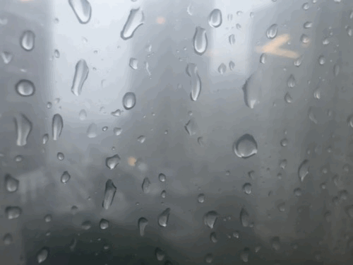 34a4cb4a137a5938780fe091942e7d28_640_wx_fmt=gif&from=appmsg&tp=webp&wxfrom=5&wx_lazy=1.gif