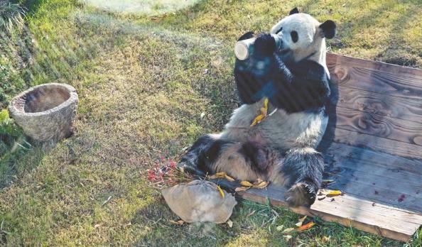 360截图20251218090807452.jpg 360截图20251218090807452.jpg