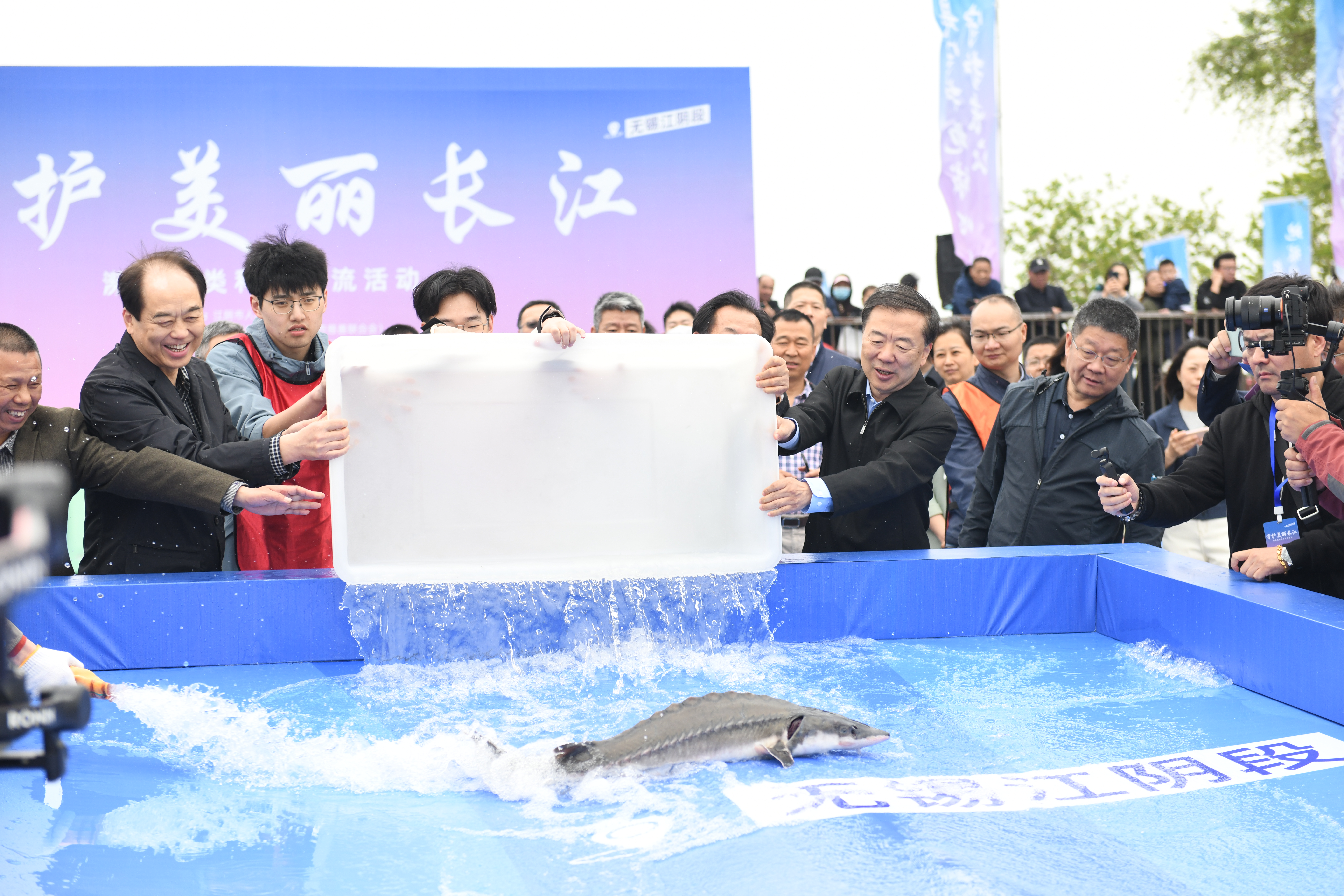 ab58d44e794ac544641a869373ae8ff.jpg